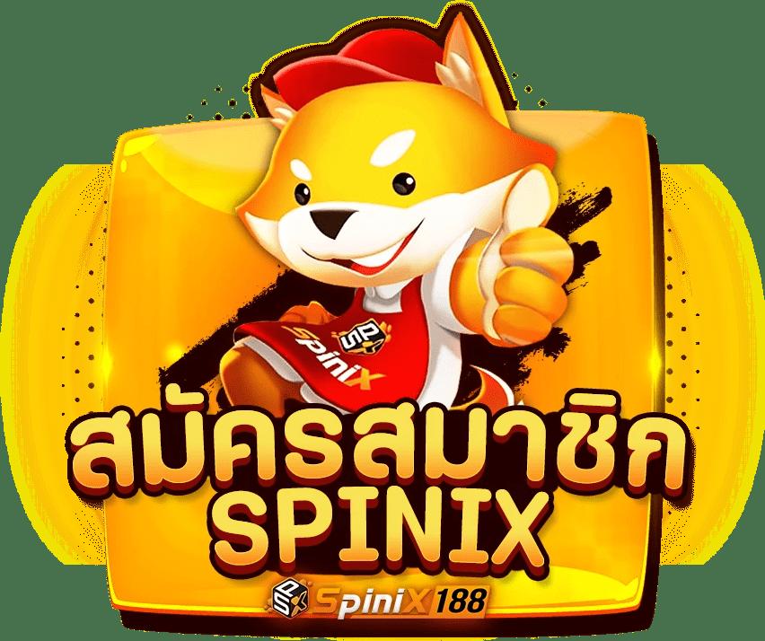ฟีเจอร์หมุนฟรี
