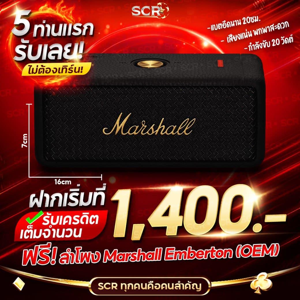 หลากหลายเกม