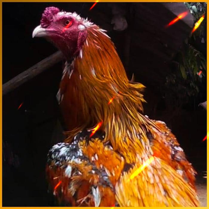 ฝาก1รับ100 เว็บตรง สล็อต ฝากถอนออโต้ ไม่ผ่านเอเย่นต์ 2026